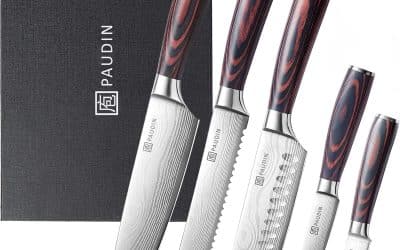 Test : ensemble de couteaux Paudin pour chefs exigeants