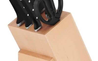 Test du bloc couteaux Tefal Ice Force : performance garantie