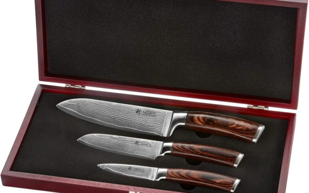 Test des couteaux WAKOLI Edib : efficacité et élégance en cuisine