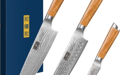 Test du set de couteaux hOSHANHO en acier damas