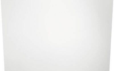 Test du lave-vaisselle Electrolux LSV48400L : performance et efficacité