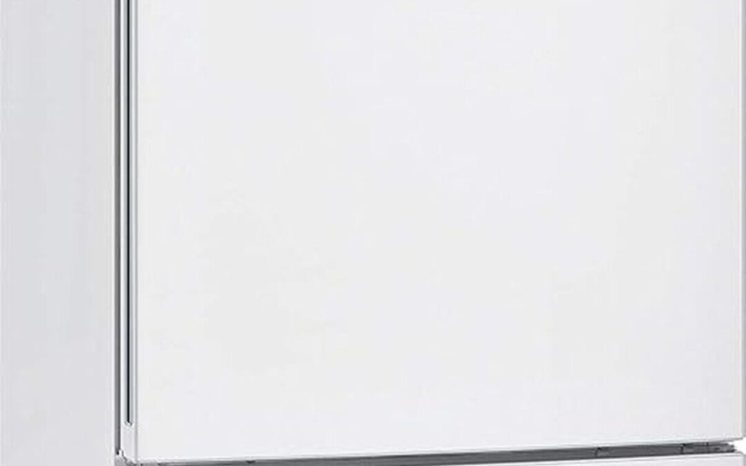 Test réfrigérateur siemens KG 39 EAW CA