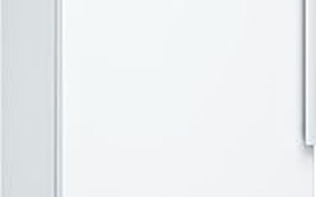 Test du réfrigérateur Bosch KSV36VWEP : fraîcheur et espace optimisé