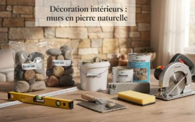 Décoration intérieure : murs en pierre naturelle
