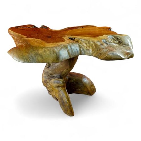 Découvrez notre avis sur la table basse en teck Kinaree : une pièce au design élégant et rustique qui apporte une touche unique à votre intérieur.