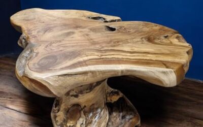 Avis sur la table basse en teck Kinaree : élégance rustique et unique