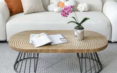 Test : table basse ovale Zouron brun vintage